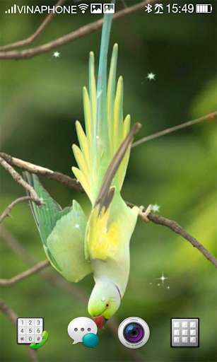 Run android online APK Bird Live Wallpaper HD 4K from MyAndroid or emulate Bird Live Wallpaper HD 4K using MyAndroid