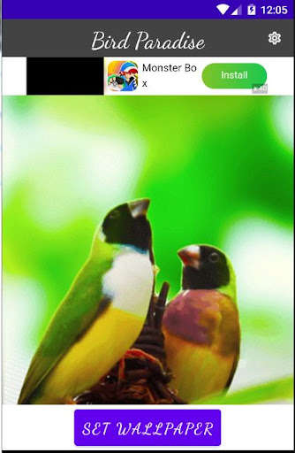 Run android online APK Bird Paradise Live Wallpaper from MyAndroid or emulate Bird Paradise Live Wallpaper using MyAndroid Run android online APK Bird Paradise Live Wallpaper from MyAndroid or emulate Bird Paradise Live Wallpaper using MyAndroid
