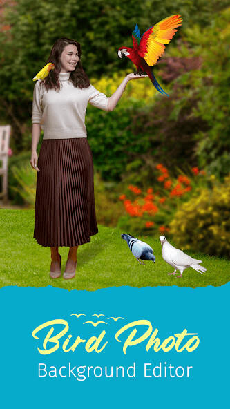 Run android online APK Bird Photo Background Editor from MyAndroid or emulate Bird Photo Background Editor using MyAndroid