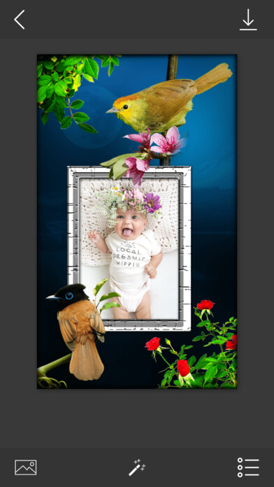Emulate iPhone app Bird Photo Frames - Make awesome photo using beautiful photo frames using MyAndroid