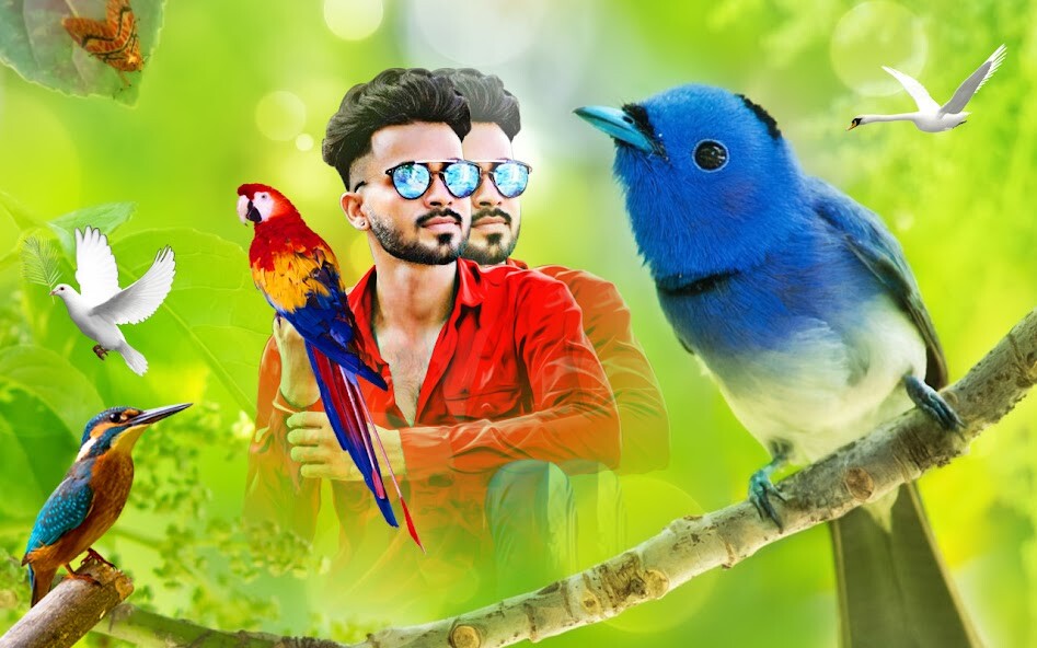 Run android online APK Bird photo mixer and blender from MyAndroid or emulate Bird photo mixer and blender using MyAndroid Run android online APK Bird photo mixer and blender from MyAndroid or emulate Bird photo mixer and blender using MyAndroid