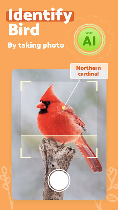 Emulate iPhone app BirdScan - Identify Bird using MyAndroid Emulate iPhone app BirdScan - Identify Bird using MyAndroid