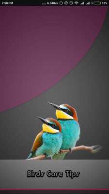 Emulate Android APK Birds Care Tips Emulate Android APK Birds Care Tips