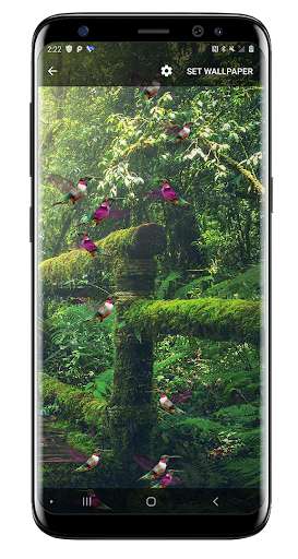 Run android online APK Birds Flying Live Wallpaper from MyAndroid or emulate Birds Flying Live Wallpaper using MyAndroid Run android online APK Birds Flying Live Wallpaper from MyAndroid or emulate Birds Flying Live Wallpaper using MyAndroid