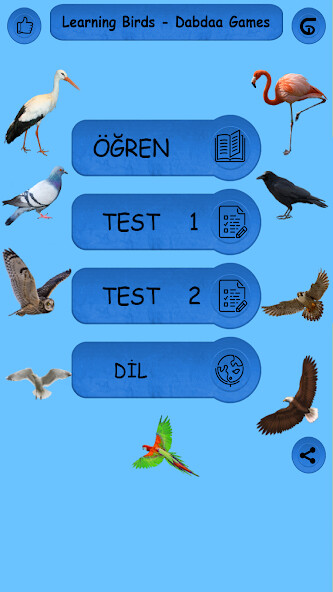 Run android online APK Birds - Learning Birds from MyAndroid or emulate Birds - Learning Birds using MyAndroid Run android online APK Birds - Learning Birds from MyAndroid or emulate Birds - Learning Birds using MyAndroid