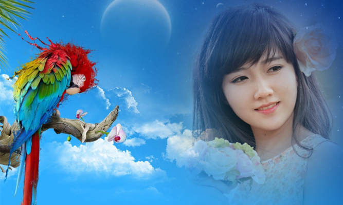 Emulate Android APK Birds Mulit Photo Frame Emulate Android APK Birds Mulit Photo Frame