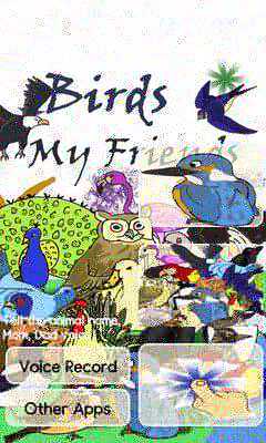 Emulate Android APK Birds my friend - baby