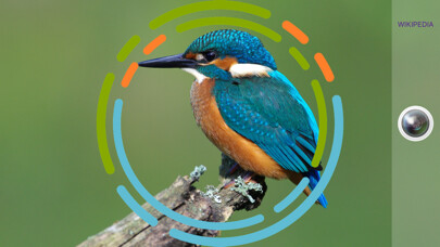 Emulate iPhone app BirdSnap - Bird Identification using MyAndroid Emulate iPhone app BirdSnap - Bird Identification using MyAndroid