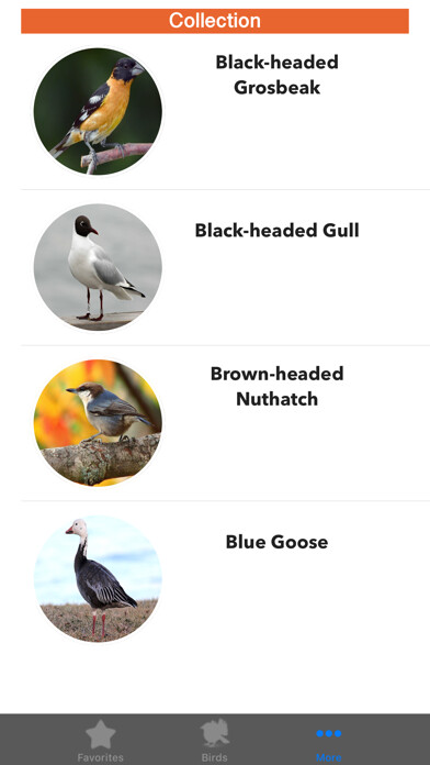 Emulate iPhone app Birds of North America using MyAndroid Emulate iPhone app Birds of North America using MyAndroid