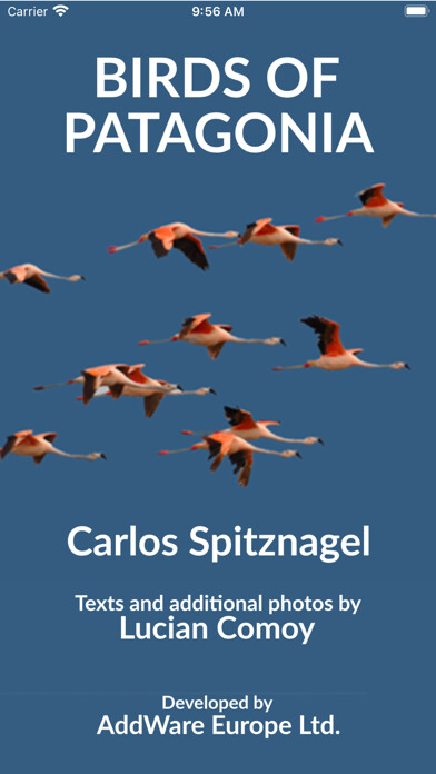 Emulate iPhone app Birds of Patagonia using MyAndroid
