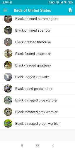 Run android online APK Birds of United States from MyAndroid or emulate Birds of United States using MyAndroid