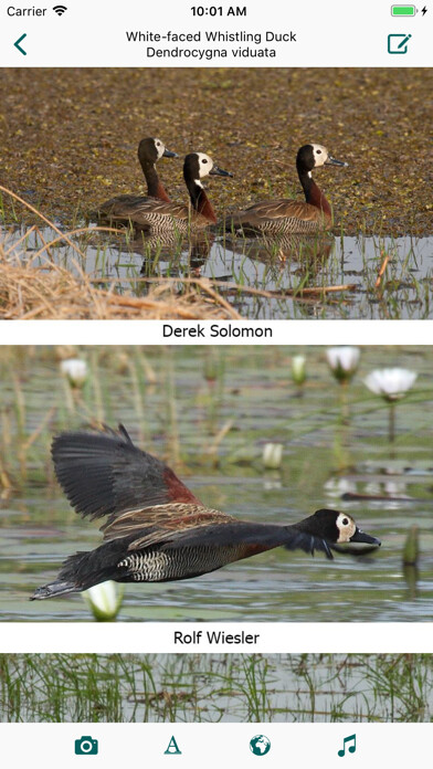 Emulate iPhone app Birds of Zambia using MyAndroid