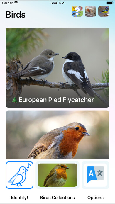 Emulate iPhone app Bird Song/Photo Identification using MyAndroid