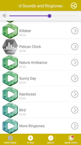 Run android online APK Bird Sounds and Ringtones - Best Ringtones from MyAndroid or emulate Bird Sounds and Ringtones - Best Ringtones using MyAndroid Run android online APK Bird Sounds and Ringtones - Best Ringtones from MyAndroid or emulate Bird Sounds and Ringtones - Best Ringtones using MyAndroid