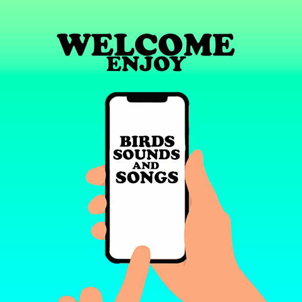 Run android online APK Bird Sounds App from MyAndroid or emulate Bird Sounds App using MyAndroid