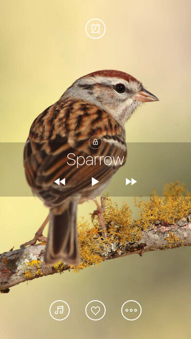 Emulate iPhone app Bird Sounds, Listen & Relax using MyAndroid Emulate iPhone app Bird Sounds, Listen & Relax using MyAndroid