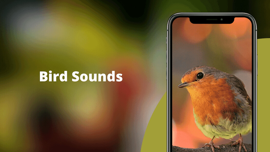 Run android online APK Bird Sounds - Nature Bird Call from MyAndroid or emulate Bird Sounds - Nature Bird Call using MyAndroid