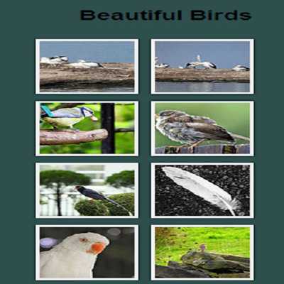Emulate Android APK Birds PhotoGallery