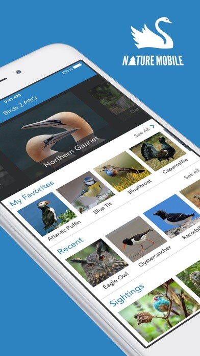 Emulate iPhone app Birds PRO HD using MyAndroid Emulate iPhone app Birds PRO HD using MyAndroid