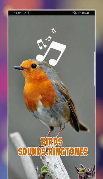 Run android online APK Birds Ringtones for phone from MyAndroid or emulate Birds Ringtones for phone using MyAndroid Run android online APK Birds Ringtones for phone from MyAndroid or emulate Birds Ringtones for phone using MyAndroid