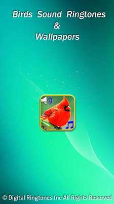 Emulate Android APK Birds sound ringtones  wallpapers