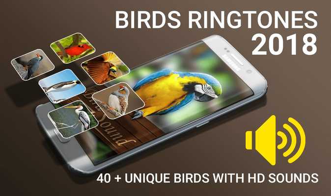 Emulate Android APK Birds sounds 2018 Emulate Android APK Birds sounds 2018