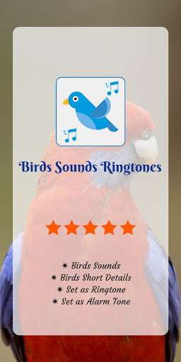 Run android online APK Birds Sounds and Info: Sounds Of Birds from MyAndroid or emulate Birds Sounds and Info: Sounds Of Birds using MyAndroid
