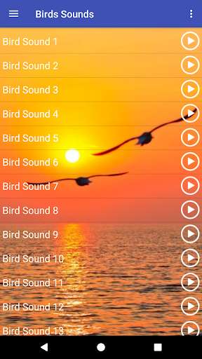 Run android online APK Birds Sounds and Ringtones from MyAndroid or emulate Birds Sounds and Ringtones using MyAndroid Run android online APK Birds Sounds and Ringtones from MyAndroid or emulate Birds Sounds and Ringtones using MyAndroid