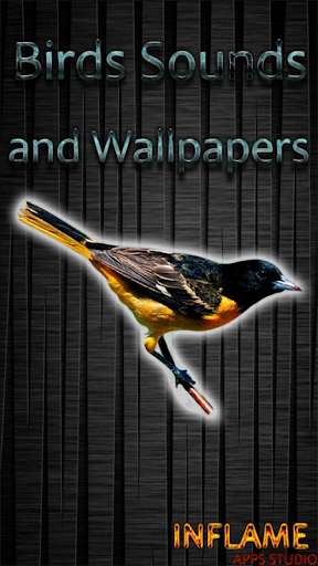 Run android online APK Birds Sounds and Wallpapers from MyAndroid or emulate Birds Sounds and Wallpapers using MyAndroid