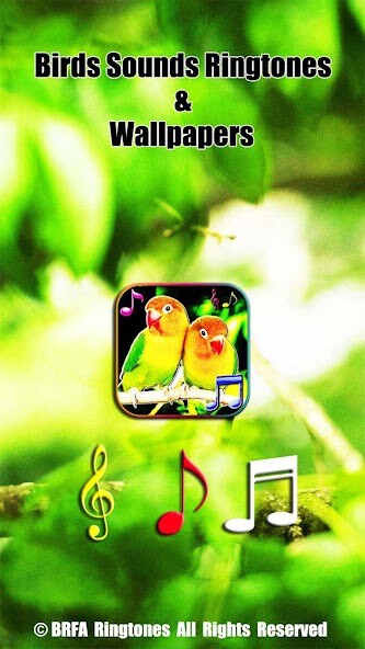Run android online APK Birds Sounds Live Wallpapers from MyAndroid or emulate Birds Sounds Live Wallpapers using MyAndroid Run android online APK Birds Sounds Live Wallpapers from MyAndroid or emulate Birds Sounds Live Wallpapers using MyAndroid