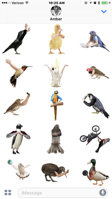 Emulate iPhone app Birds with Human Arms using MyAndroid Emulate iPhone app Birds with Human Arms using MyAndroid