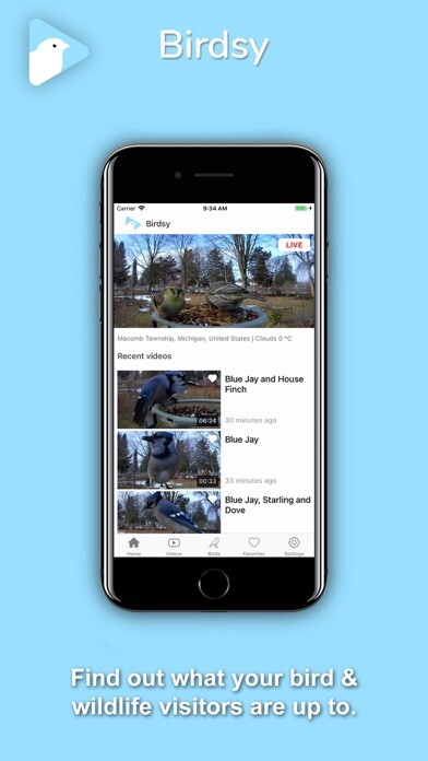 Emulate iPhone app Birdsy using MyAndroid
