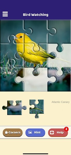 Run android online APK Bird Watching Puzzle from MyAndroid or emulate Bird Watching Puzzle using MyAndroid Run android online APK Bird Watching Puzzle from MyAndroid or emulate Bird Watching Puzzle using MyAndroid