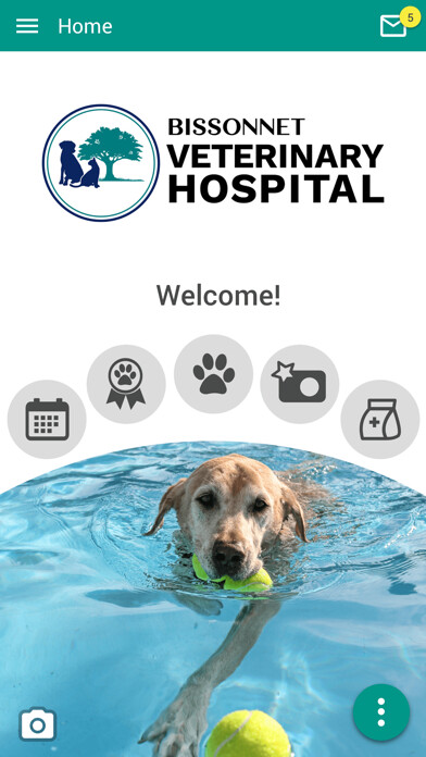 Emulate iPhone app BissVet using MyAndroid Emulate iPhone app BissVet using MyAndroid