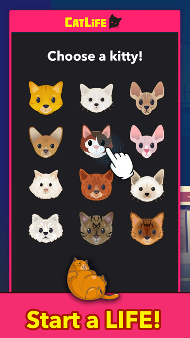 Emulate iPhone app BitLife Cats - CatLife using MyAndroid Emulate iPhone app BitLife Cats - CatLife using MyAndroid