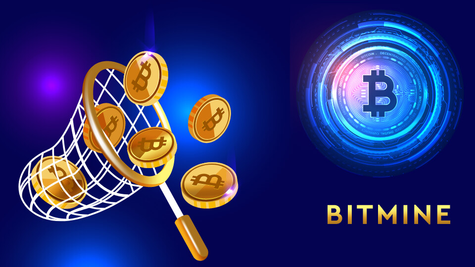 Run android online APK Bitmine from MyAndroid or emulate Bitmine using MyAndroid Run android online APK Bitmine from MyAndroid or emulate Bitmine using MyAndroid