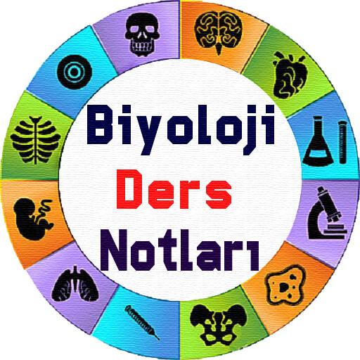 Run android online APK Biyoloji Ders Notlar? from MyAndroid or emulate Biyoloji Ders Notlar? using MyAndroid Run android online APK Biyoloji Ders Notlar? from MyAndroid or emulate Biyoloji Ders Notlar? using MyAndroid