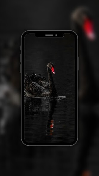 Run android online APK Black 4K Wallpaper from MyAndroid or emulate Black 4K Wallpaper using MyAndroid