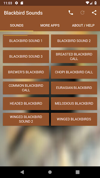 Emulate Android APK Blackbird Sounds Emulate Android APK Blackbird Sounds