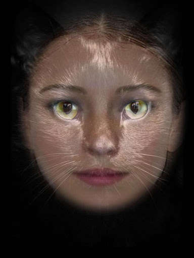 Run android online APK Black Cat Photo Montage from MyAndroid or emulate Black Cat Photo Montage using MyAndroid