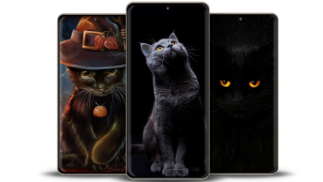 Run android online APK Black Cat Wallpapers from MyAndroid or emulate Black Cat Wallpapers using MyAndroid Run android online APK Black Cat Wallpapers from MyAndroid or emulate Black Cat Wallpapers using MyAndroid