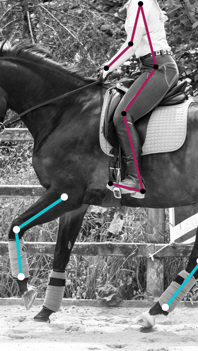 Emulate iPhone app BLACKDOG Equestrian using MyAndroid Emulate iPhone app BLACKDOG Equestrian using MyAndroid