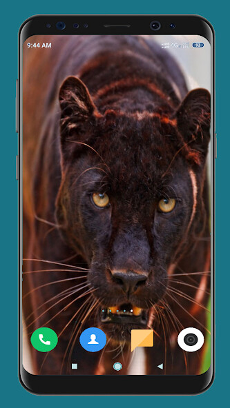 Run android online APK Black Panther Hd Wallpaper from MyAndroid or emulate Black Panther Hd Wallpaper using MyAndroid Run android online APK Black Panther Hd Wallpaper from MyAndroid or emulate Black Panther Hd Wallpaper using MyAndroid
