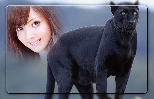 Run android online APK Black Panther Photo Frames from MyAndroid or emulate Black Panther Photo Frames using MyAndroid