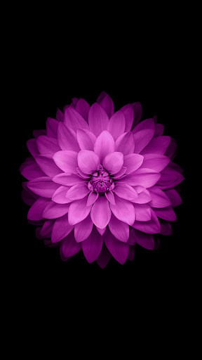 Run android online APK Black Wallpapers 4K Amoled Dark Backgrounds HD from MyAndroid or emulate Black Wallpapers 4K Amoled Dark Backgrounds HD using MyAndroid Run android online APK Black Wallpapers 4K Amoled Dark Backgrounds HD from MyAndroid or emulate Black Wallpapers 4K Amoled Dark Backgrounds HD using MyAndroid