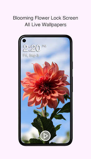 Run android online APK Blooming Flower Lock Screen from MyAndroid or emulate Blooming Flower Lock Screen using MyAndroid Run android online APK Blooming Flower Lock Screen from MyAndroid or emulate Blooming Flower Lock Screen using MyAndroid