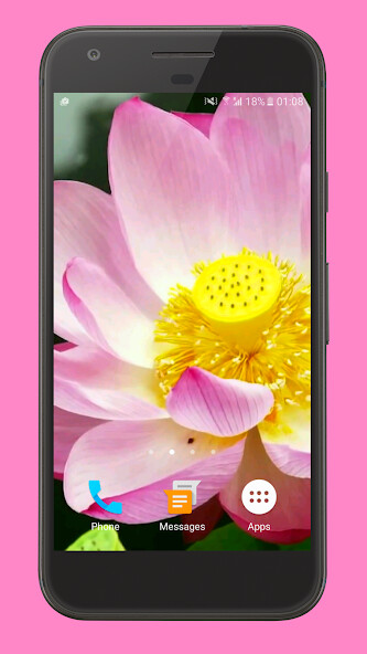 Run android online APK Blooming Lotus Video Wallpaper from MyAndroid or emulate Blooming Lotus Video Wallpaper using MyAndroid