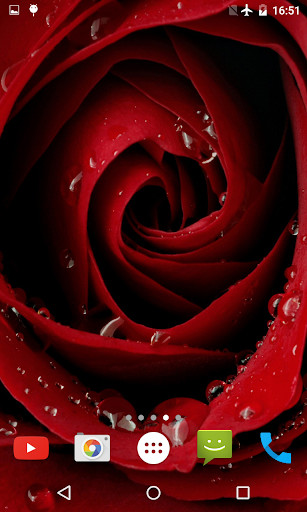 Run android online APK Blooming Rose 3D Wallpaper from MyAndroid or emulate Blooming Rose 3D Wallpaper using MyAndroid Run android online APK Blooming Rose 3D Wallpaper from MyAndroid or emulate Blooming Rose 3D Wallpaper using MyAndroid
