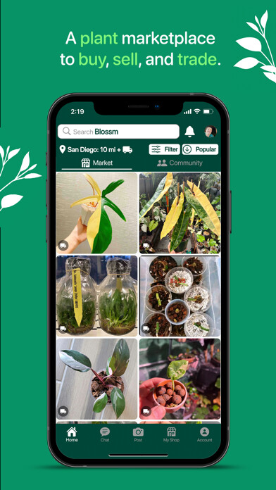 Run android online APK Blossm - Social Plant Market from MyAndroid or emulate Blossm - Social Plant Market using MyAndroid Run android online APK Blossm - Social Plant Market from MyAndroid or emulate Blossm - Social Plant Market using MyAndroid