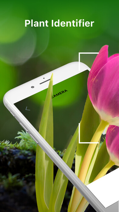 Run android online APK Blossom - Plant Identification from MyAndroid or emulate Blossom - Plant Identification using MyAndroid